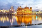 Amritsar Golden - Katra